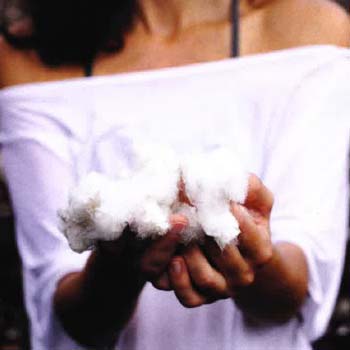 Woman wearing crop top